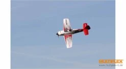 Multiplex RR RaceWulf -Radio Controlled Model Shop 1 01771 multiplex racewulf 10