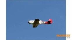 Multiplex RR RaceWulf -Radio Controlled Model Shop 1 01771 multiplex racewulf 24