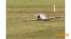 Multiplex RR RaceWulf -Radio Controlled Model Shop 1 01771 multiplex racewulf 26