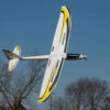 E-flite Conscendo Evolution 1.5m BNF Basic