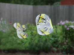 E-Flite UMX Night Vapor RTF A-EFLU1300 -Radio Controlled Model Shop a eflu1300 m