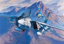 Academy F-14A Tomcat 1:72